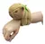 PELUCHE CAPIBARA PARA MUÑECA CON LUZ Y SONIDO - comprar online