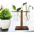 Vaso De Vidro Suporte Madeira Plantador Planta Bonsai - loja online