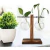 Vaso De Vidro Suporte Madeira Plantador Planta Bonsai - loja online