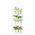 Vaso de plantas com Suporte de Madeira e tubo de vidro - comprar online