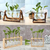 Vaso de Vidro e Madeira para plantas