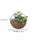 Vaso de plantas de Parede Meia Lua com Forro de Coco - comprar online
