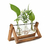 Vaso de plantas Hidropônico com Estrutura de Madeira e Tubo de Vidro Transparente - comprar online