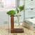 Vaso de plantas Terrário Hidropônico com Estrutura de Madeira e Vidro Transparente na internet