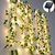 Luzes Solares LED de Cordão 2M 5M 10M