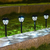 Conjunto de Lâmpadas Solares para Jardim na internet