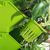 Vaso de plantas Caixa de Plantio de Parede Vertical Verde na internet