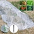 Suporte para Crescimento de Plantas na internet