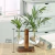 Vaso de plantas Terrário Hidropônico com Estrutura de Madeira e Vidro Transparente - comprar online