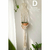 Imagem do Suporte de Macramê para Plantas