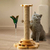 Torre Arranhadora para Gatos