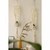 Suporte de Macramê para Plantas - comprar online