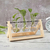 Imagem do Vaso de Vidro e Madeira para plantas
