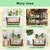 Imagem do Vaso de plantas Terrário de Plantas com Suporte de Madeira e Vaso de Vidro