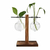 Vaso De Vidro Suporte Madeira Plantador Planta Bonsai - eKoloja - Seja a mudança que o planeta precisa