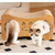 Imagem do Arranhador para gatos de Papelão Ondulado Dupla Camada