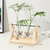 Vaso de plantas Terrário de Mesa