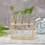 Vaso de Vidro e Madeira para plantas