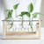 Imagem do Vaso de plantas Hidropônico com Estrutura de Madeira e Tubo de Vidro Transparente