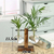 Vaso de plantas Terrário de Mesa na internet