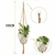 Suportes de Macramê para Plantas (6pcs) - loja online