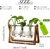 Vaso de plantas Terrário de Plantas com Suporte de Madeira e Vaso de Vidro - comprar online