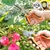 Ferramentas de Jardinagem de Aço Inoxidável com Bolsa - eKoloja - Seja a mudança que o planeta precisa