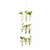 Vaso de plantas com Suporte de Madeira e tubo de vidro - comprar online
