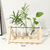 Imagem do Vaso de plantas Terrário de Mesa