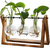 Vaso de plantas Terrário de Plantas com Suporte de Madeira e Vaso de Vidro