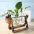 Vaso de Vidro e Madeira para plantas - comprar online