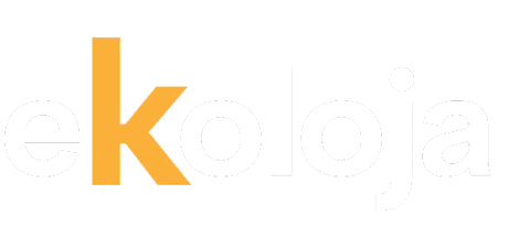 eKoloja - Seja a mudança que o planeta precisa