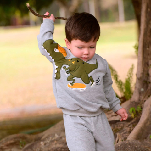 Conjunto Infantil Menino Longo Inverno Cinza Iran Dinossauro