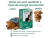 Bioxin 100Mg Antimicrobiano Para Cães 14 Comprimidos Biofarm na internet