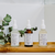 Kit Pele Renovada Dermato Seu tratamento facial completo em 6 passos na internet
