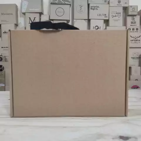 Caja bolsa Lisa 30x22x12 cm (pack 10 unidades) - comprar online
