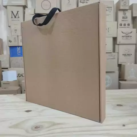 Caja bolsa Lisa 40x40x5 cm LINER (pack 10 unidades)