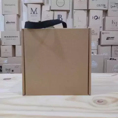 Caja bolsa 21x21x11 cm (pack 10 unidades)