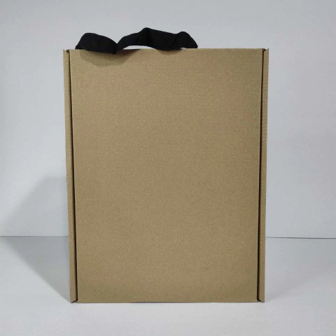 Caja bolsa Lisa 23x30x10 cm LINER (pack 100 unidades) - comprar online