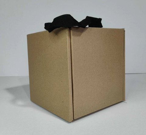 Caja bolsa Lisa 15x15x15 cm (pack 50 unidades) - comprar online