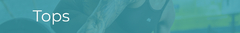 Banner da categoria Tops