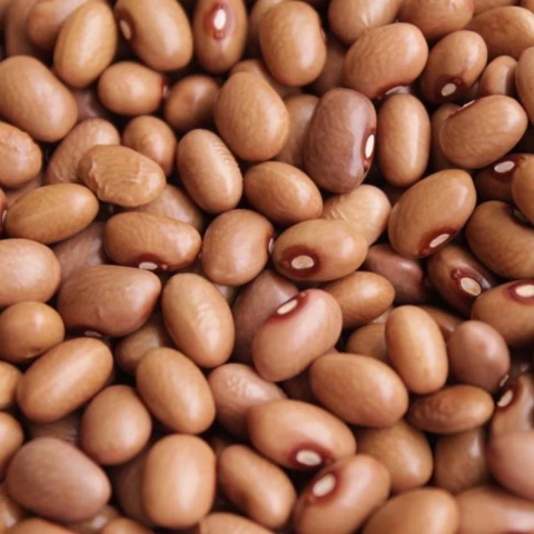 FEIJÃO MULATINHO KG