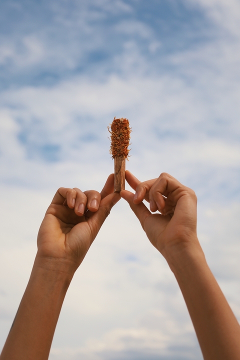 PALO SANTO #01 INTENTION - comprar online