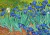 Imagen de Vincent Van Gogh: Irises