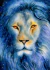 Imagen de Starry Lion