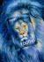Starry Lion en internet