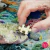 Living Reef en internet