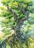 Imagen de Tree of Life