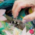Toucans' Paradise en internet