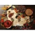 World Map in Spices en internet